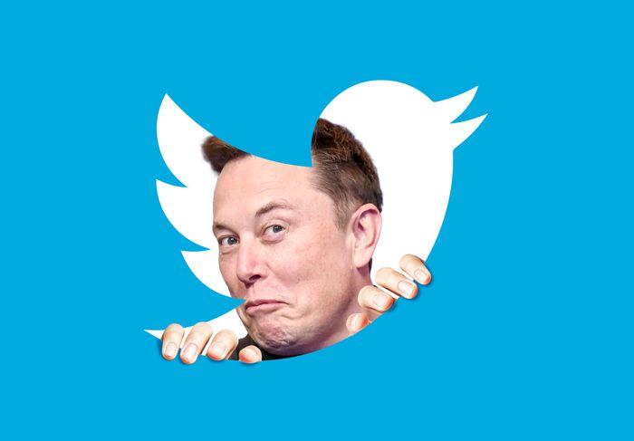 Elon Musk sẽ làm gì với Twitter? Một kỷ nguyên mới cho MXH