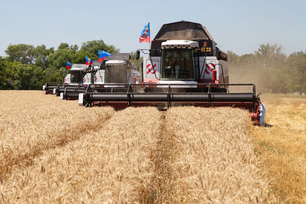 Nông dân trồng ngũ cốc tại Ukraine lo lắng khi bắt đầu thu hoạch trong bối cảnh chiến tranh